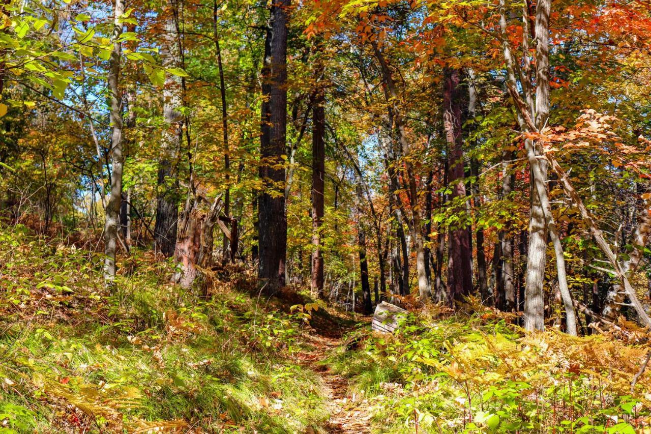 Lost 4* Nisswa